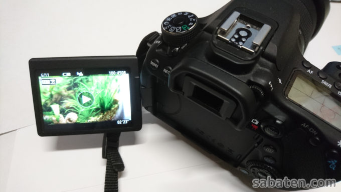使っているカメラの紹介!! Canon EOS 80D EF-S18-135 IS USM レンズ 